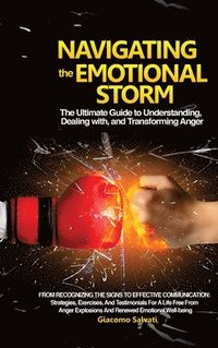 bokomslag Navigating the Emotional Storm