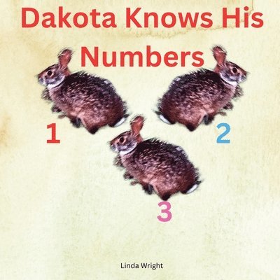 Dakota Knows His Numbers 123
