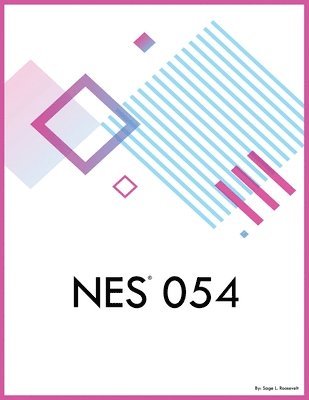 NES 054 1