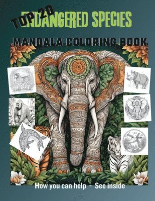 bokomslag Top 20 Endangered Species Mandala Coloring Book