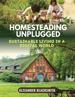 bokomslag Homesteading Unplugged