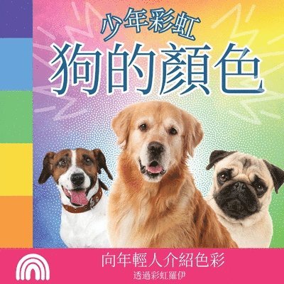 Rainbow Roy - 少年彩虹, 狗的顏色, Häftad