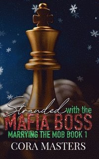 bokomslag Stranded with My Mafia Boss