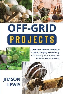 bokomslag Off-Grid Projects