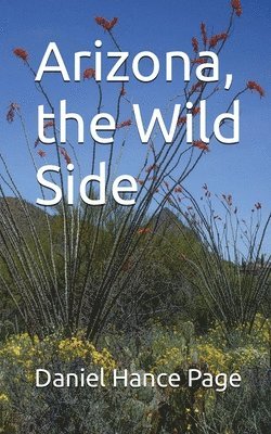 Arizona, the Wild Side 1