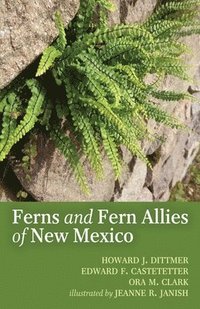 bokomslag The Ferns and Fern Allies of New Mexico