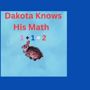 bokomslag Dakota Knows His Math 1+1=2