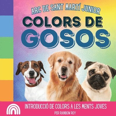 Arc de Sant Mart Junior, Colors de Gosos 1