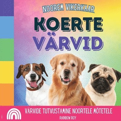 Rainbow Roy - Noorem Vikerkaar, Koerte Värvid, Häftad