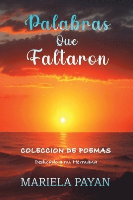 Mariela Payan Egurrola - Palabras que Faltaron, Häftad