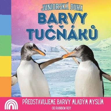 bokomslag Juniorsk Duha, barvy TU&#268;&#327;K&#366;