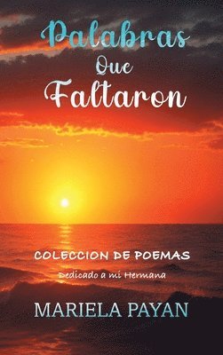 Mariela Payan Egurrola - Palabras que Faltaron, Inbunden
