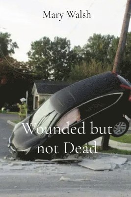 Mary Walsh - Wounded but not Dead, Häftad