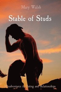 bokomslag Stable of Studs