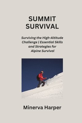 bokomslag Summit Survival