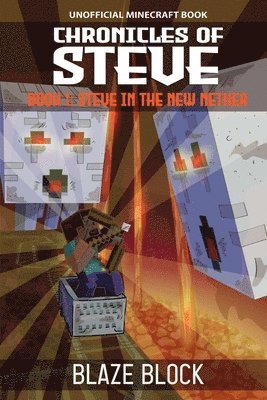 Chronicles of Steve Book 1 1