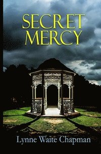 bokomslag Secret Mercy