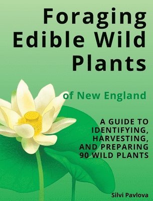 bokomslag Foraging Edible Wild Plants of New England