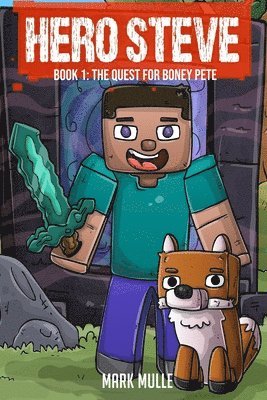 bokomslag Hero Steve Book 1