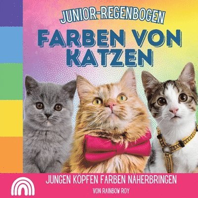 Junior-Regenbogen, Farben Von Katzen 1