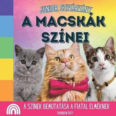 Rainbow Roy - Junior Szivárvány, A Macskák Színei: A színek bemutatása a fiatal elméknek, Häftad