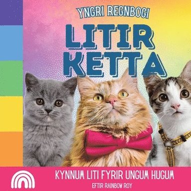bokomslag Yngri Regnbogi, Litir Ketta