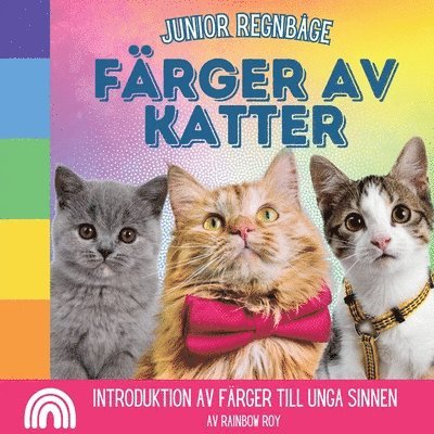 Rainbow Roy - Junior Regnbåge, Färger av Katter, Häftad