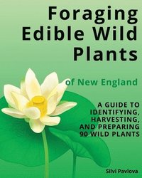 bokomslag Foraging Edible Wild Plants of New England