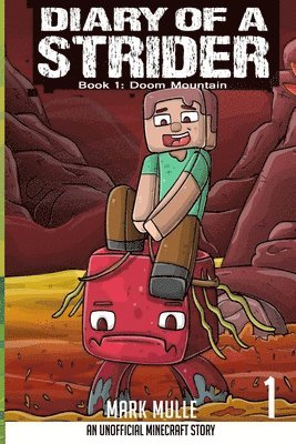 Diary of a Strider Book 1 1