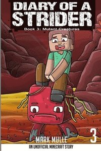 bokomslag Diary of a Strider Book 3