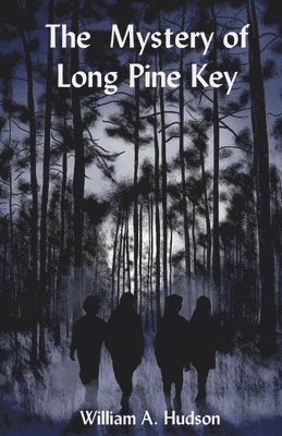 bokomslag Mystery of Long Pine Key