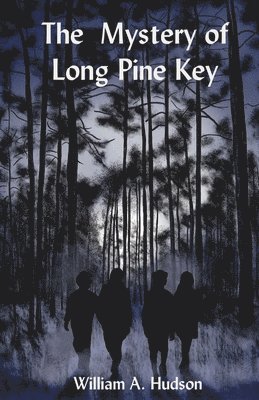 bokomslag The Mystery of Long Pine Key