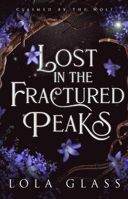 Lost in the Fractured Peaks 1