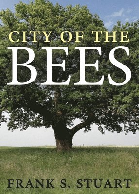 City of the Bees 1