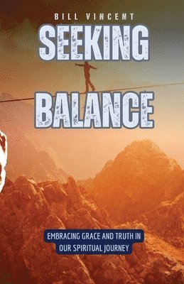 bokomslag Seeking Balance