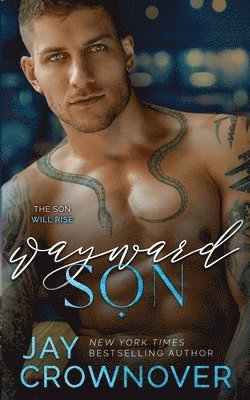 bokomslag Wayward Son