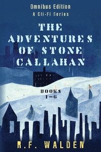 bokomslag Adventures of Stone Callahan