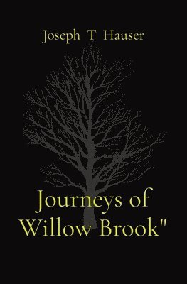 bokomslag Journeys of Willow Brook"