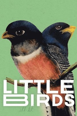 Little Birds (green) 1