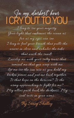 bokomslag In My Darkest Hour I Cry Out To You!