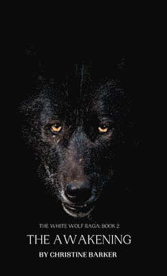 bokomslag Awakening