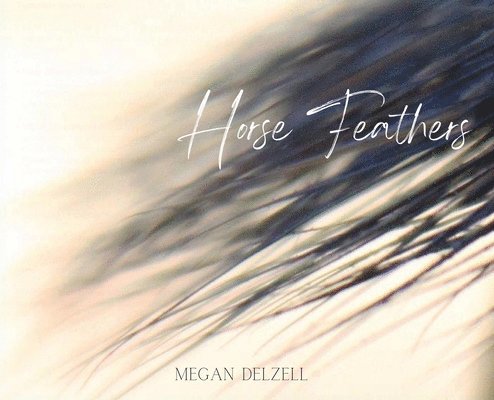 Horse Feathers 1