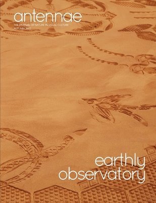 Ken Rinaldo, Nandipha Mntambo, Giovanni Aloi - Antennae #62 Earthly Observatory, Häftad
