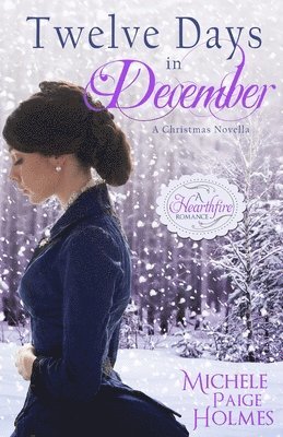 Michele Paige Holmes - Twelve Days in December, Häftad