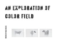 bokomslag An Exploration In Color Field