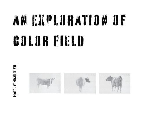 An Exploration In Color Field 1