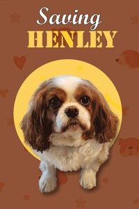 bokomslag Saving Henley