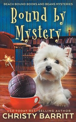 Bound by Mystery 1