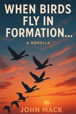 John Mack - When Birds Fly In Formation, Häftad