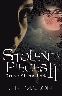 bokomslag Stolen Pieces II: Grave Misconduct